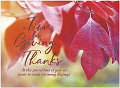 Time for Giving Thanks H2973U-AA
